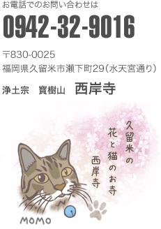 お電話でのお問い合わせは0942-32-9016　〒830-0025 福岡県久留米市瀬下町29（水天宮通り）浄土宗　寳樹山　西岸寺